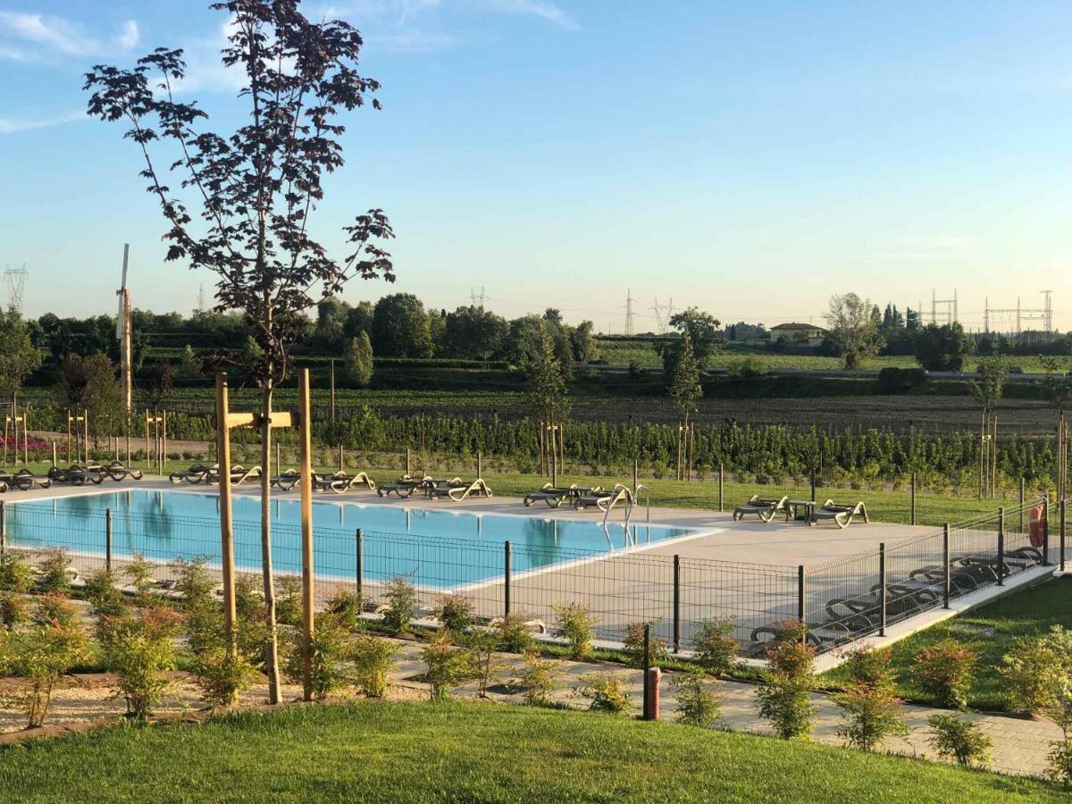 Agricamping Al Grappolo Divino Lazise Eksteriør billede